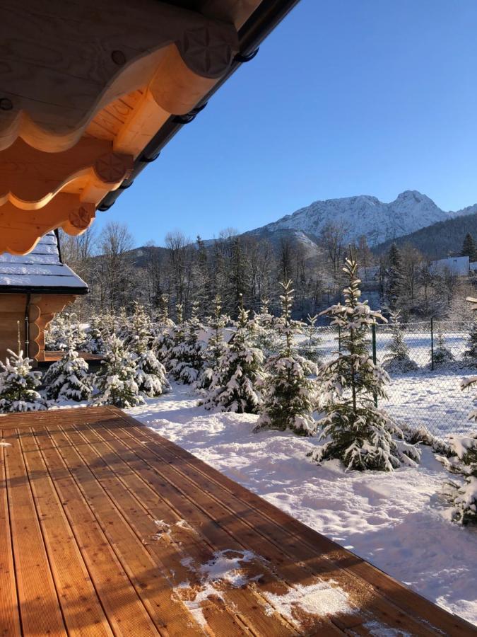 Sniezna Dolina - Sobiczkowa Bor Luxury Chalets Koscielisko Exterior photo