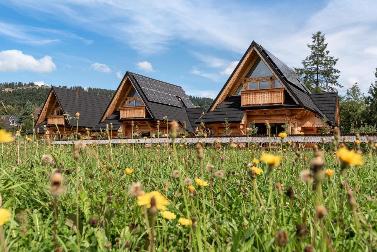 Sniezna Dolina - Sobiczkowa Bor Luxury Chalets Koscielisko Exterior photo